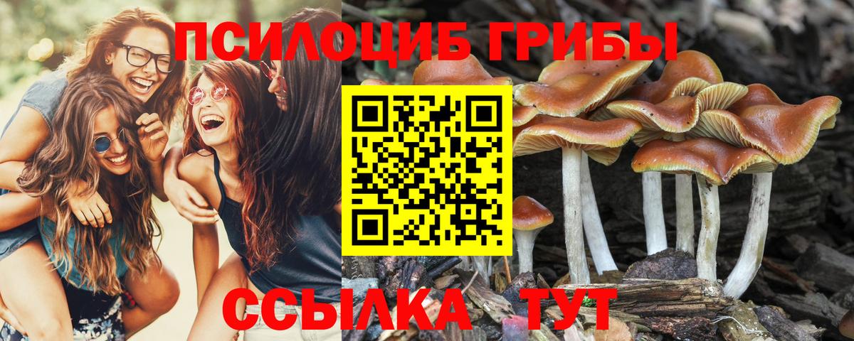 Псилоцибиновые грибы GOLDEN TEACHER  Вход с VPN  Елабуга 